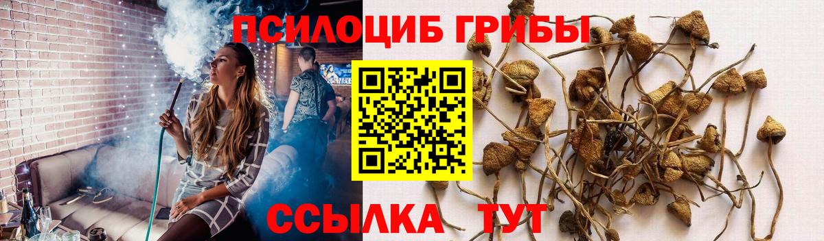 ГАШИШ Ярцево