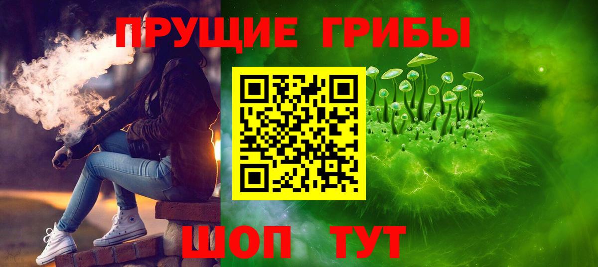Галлюциногенные грибы Psilocybine cubensis Ярцево